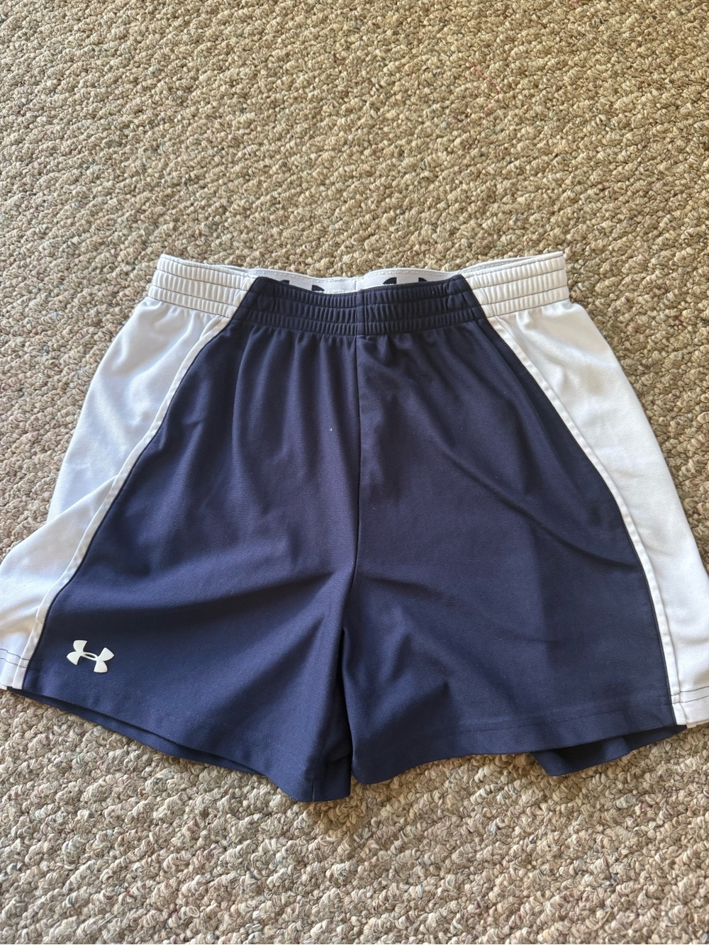 Under Armour Women's Navy and White Athletic Shorts